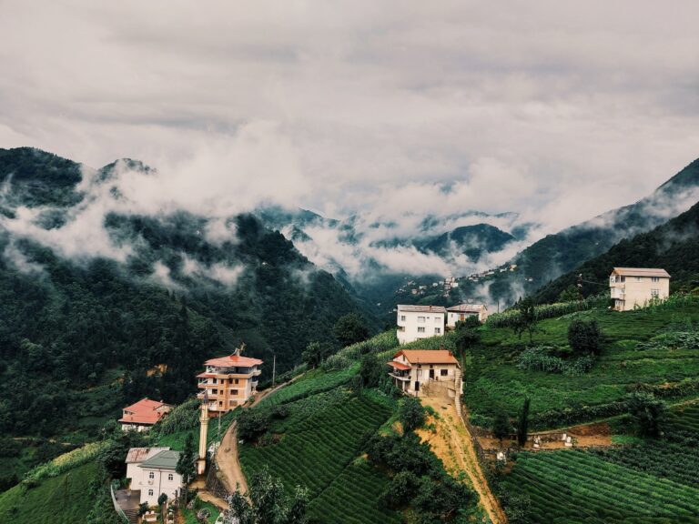 Giresun Çıkışlı Karadeniz Turu 2024