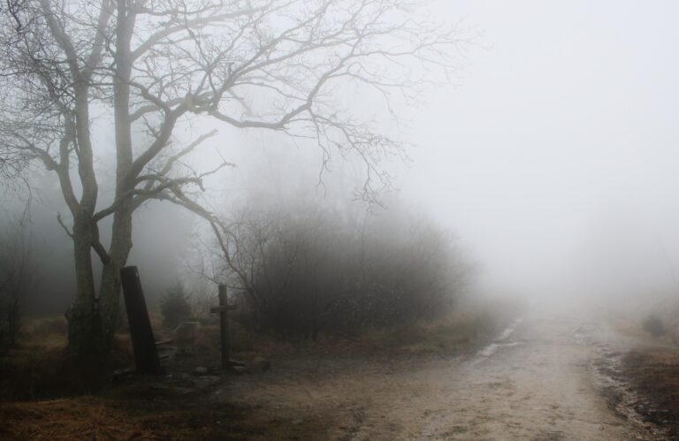 Bugün Giresun Hava Durumu