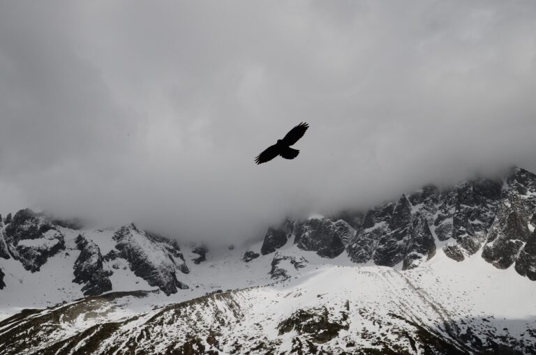 Meteoroloji Giresun 15 Günlük Hava Durumu