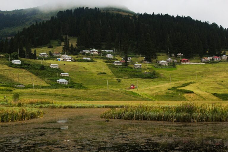 Kulakkaya Yaylası Giresun