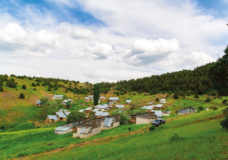 Giresun Bektaş Yaylasına nasıl gidilir