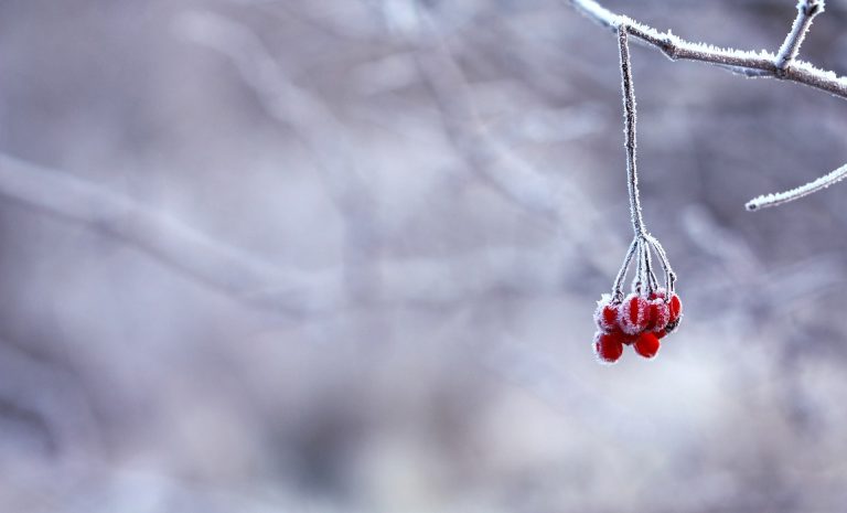 Giresun Keşap Hava Durumu 45 Günlük