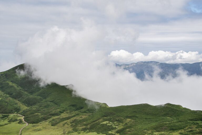 Giresun Dereli Hava Durumu