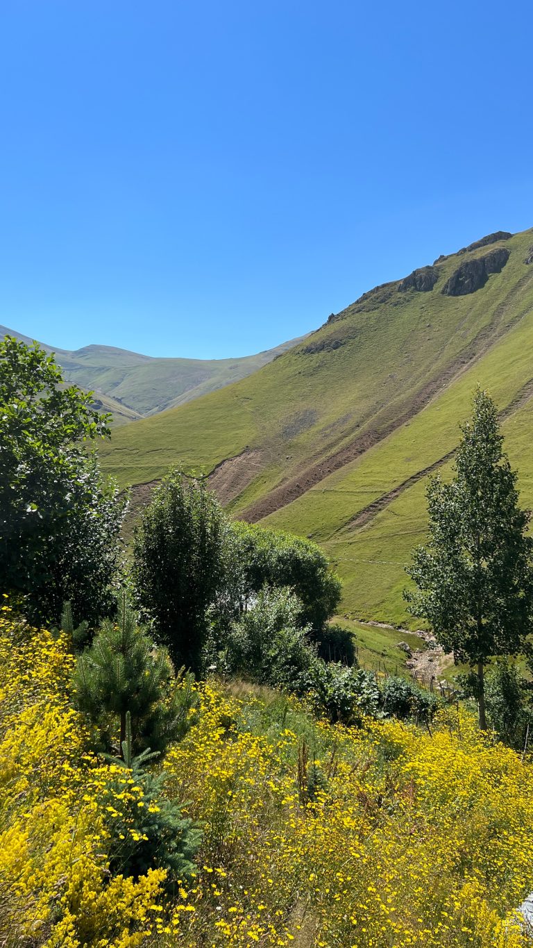 Giresun Kümbette Satılık Arsa