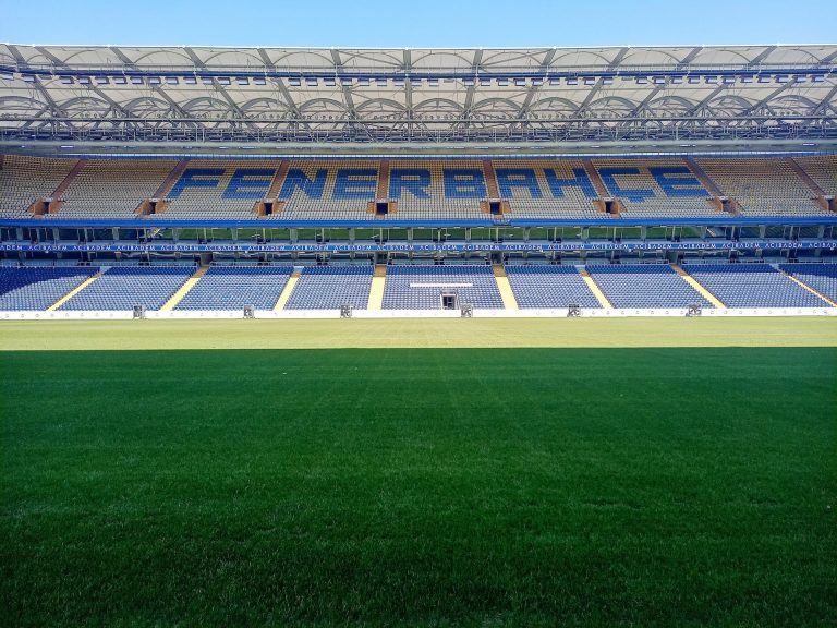 Fenerbahçe Giresunspor özet 2 1