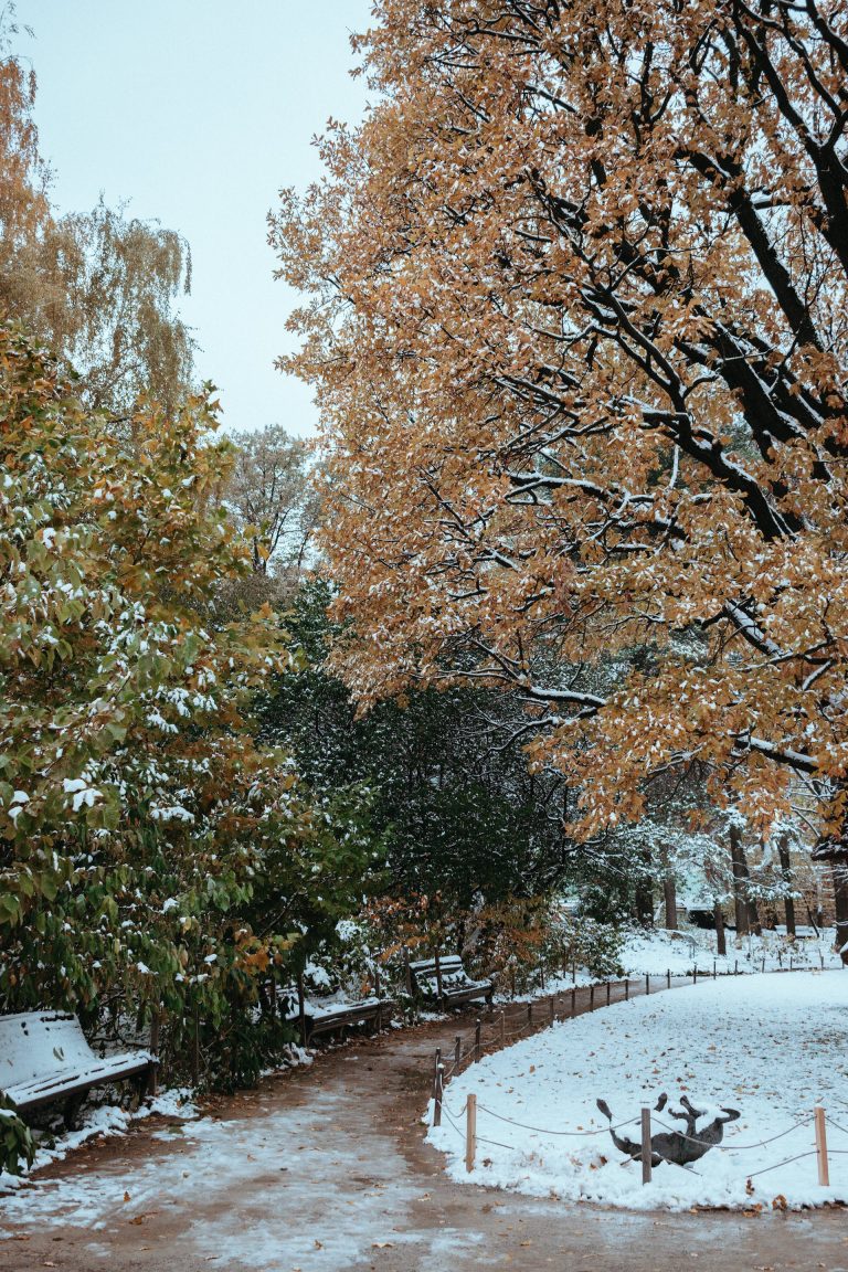 Giresun 5 günlük hava durumu