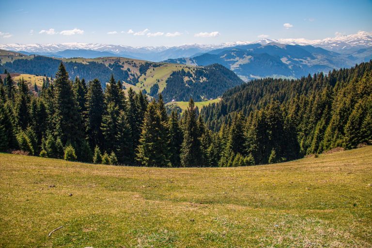 Giresun da yaşanır mı