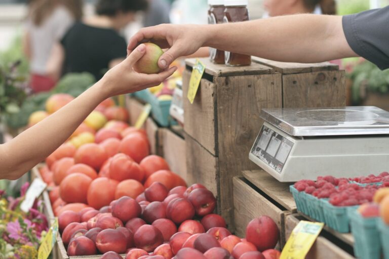 Tarım Kredi Kooperatif Market İndirimli Ürünler Kataloğu