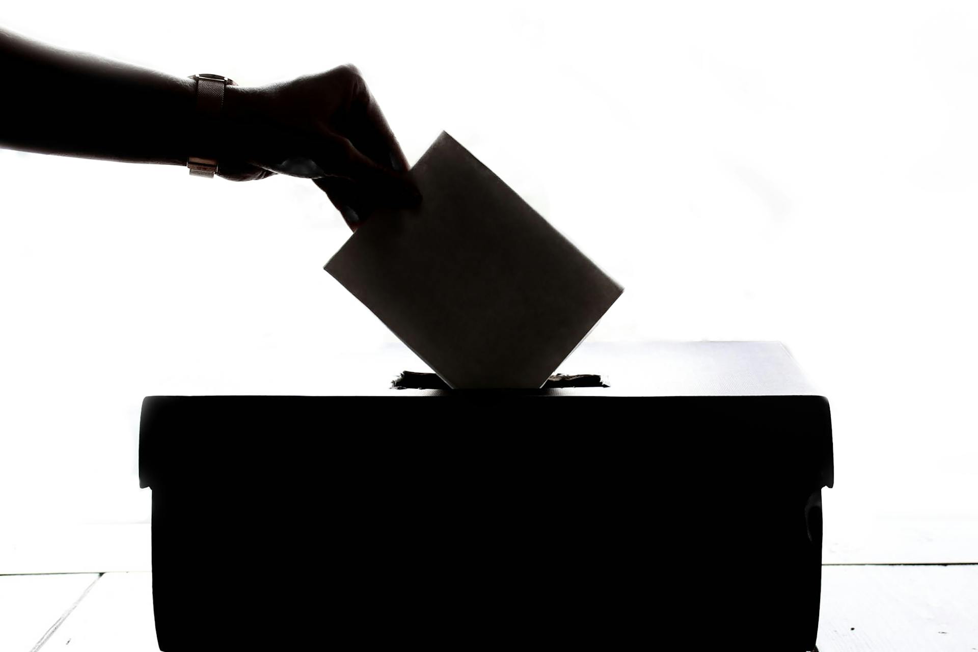 Güce Belediyesi Yerel Seçim Sonuçları