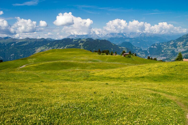 Giresun Kümbet Canlı Yayın