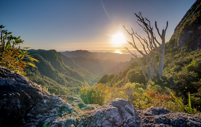 Antalya Giresun Arası Kaç Saat