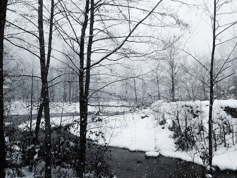 Bugün Giresun Hava Durumu