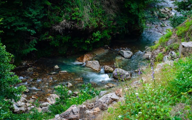 Bulancak Giresun Hava Durumu