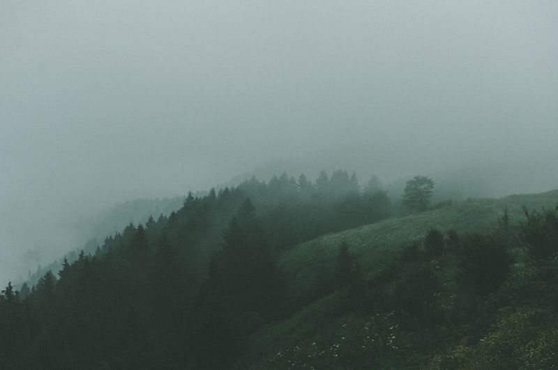 Çorum Giresun Arası Kaç Km