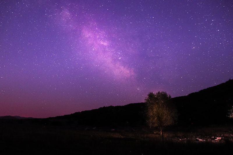 Giresun Denizli Arası Kaç Km