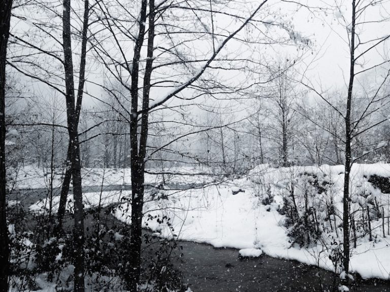 Giresun Dereli Kızıltaş Köyü Hava Durumu