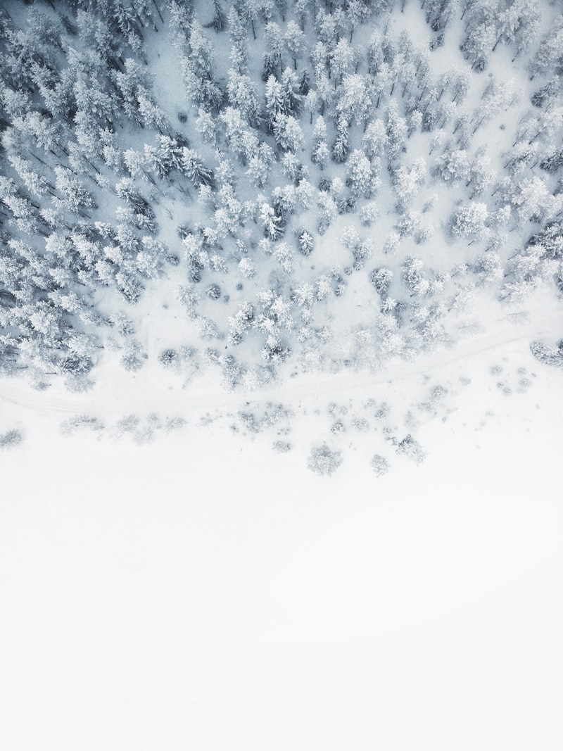 Giresun Hava Durumu Meteoroloji