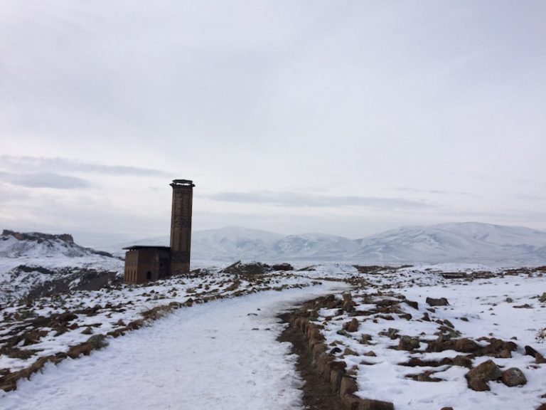 Giresun Kars Arası Kaç Km