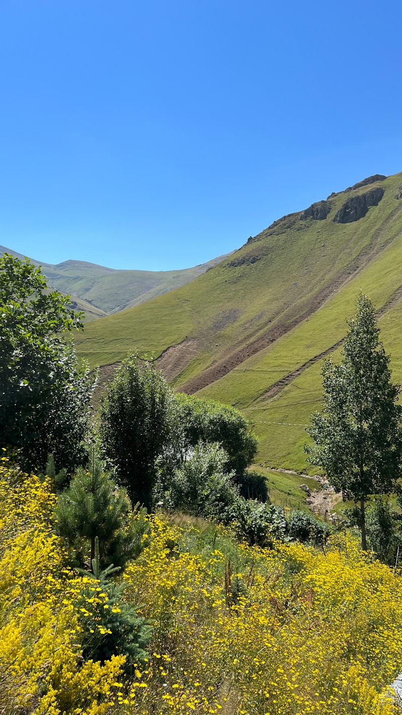 Giresun Misafirhane Fiyatları