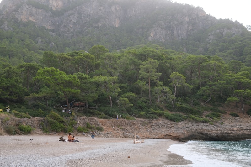 Kabak Çorbasının Yanına Ne Gider?