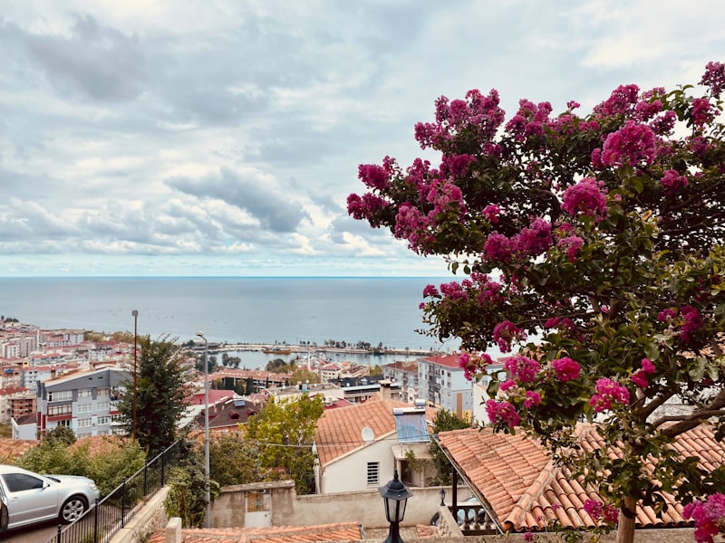 Trabzon Giresun Arası Kaç Km